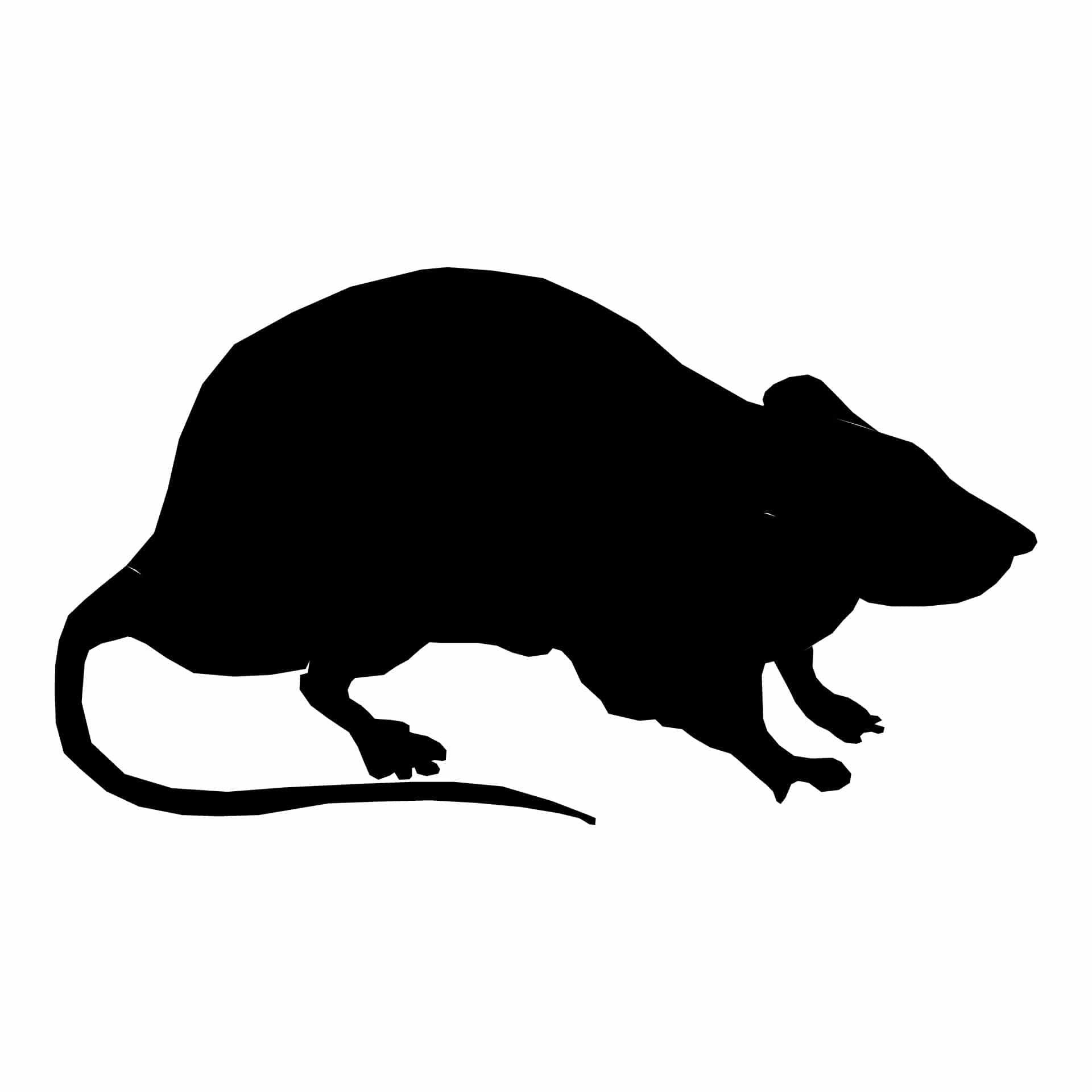 silhouette-rat